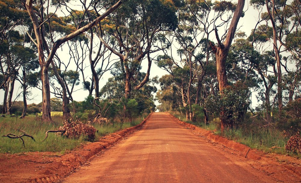 Unique, Unspoiled Wilderness
